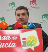 Maíllo (IU), convencido de que García y el Consejo Local actuarán "en coherencia" con los estatutos