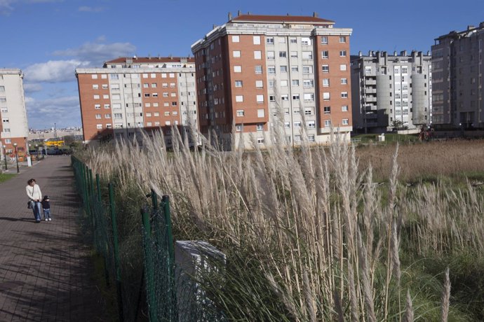 Plumeros junto a una urbanización 