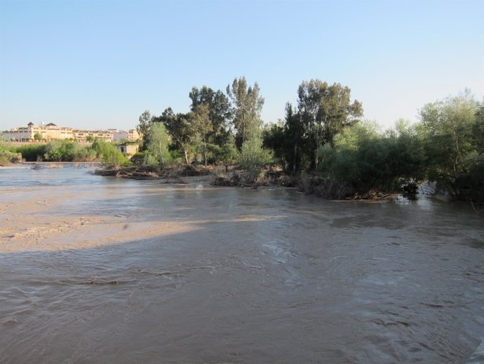 El río Guadalquivir a su paso por la capital cordobesa