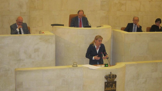 La consejera de Economía y Hacienda, en el Pleno del Parlamento