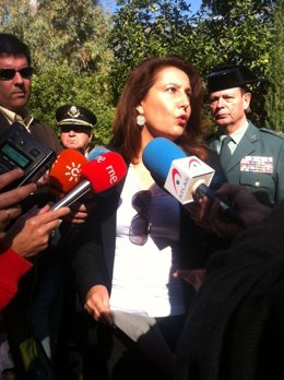 La delegada del Gobierno en Andalucía, Carmen Crespo