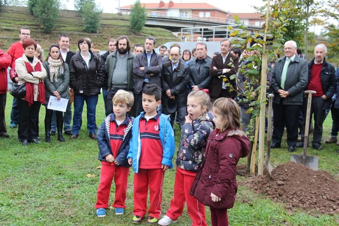 Nuevo árbol en el Bosque de la Solidaridad