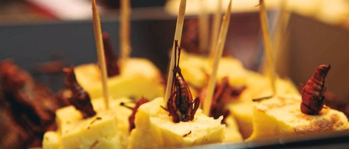 La UA propone una jornada gastronómica con insectos