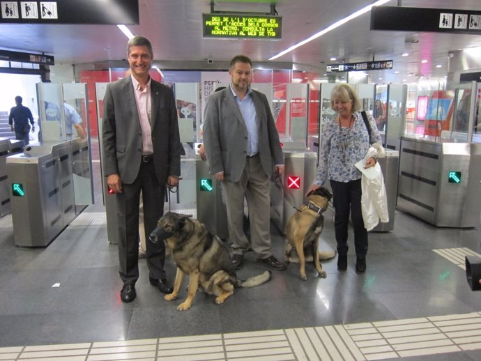 Se permite entrar con perros en el Metro de Barcelona