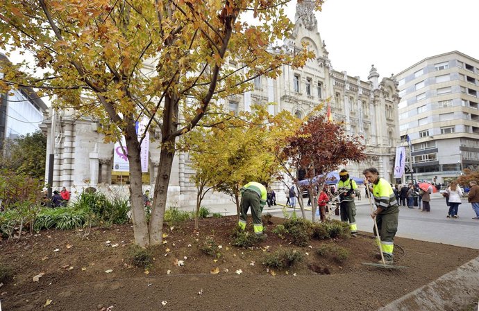 Parterres Plaza Ayuntamiento