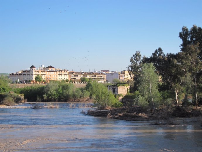 El río Guadalquivir a su paso por la capital cordobesa