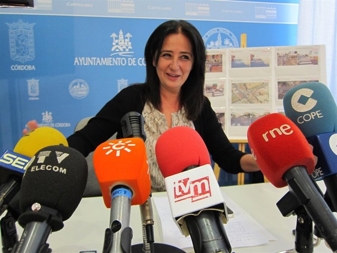 Tamayo, con imágenes de las actuaciones detrás