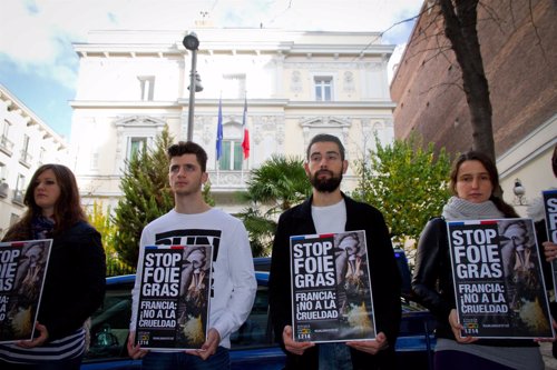 Igualdad Animal protesta frente a la Embajada de Francia en Madrid