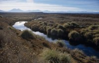 Cinco desafíos de la minería en Chile en materia energética y ambiental
