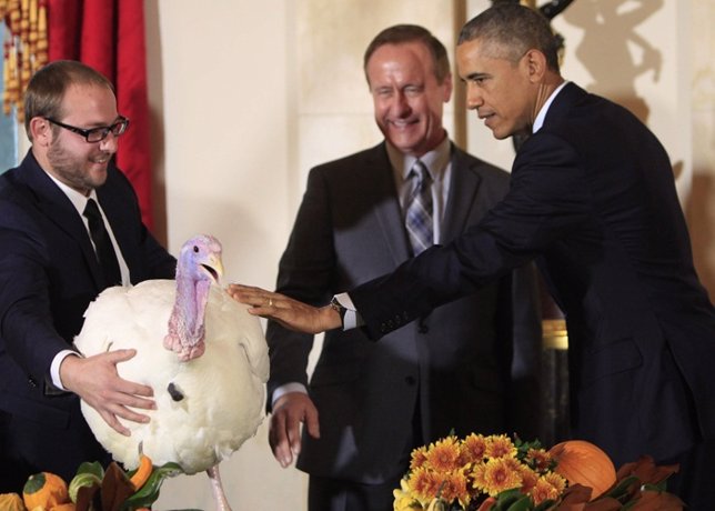 Image #: 33419203    Obama pardons Thanksgiving Turkey 2014.  The event took pla