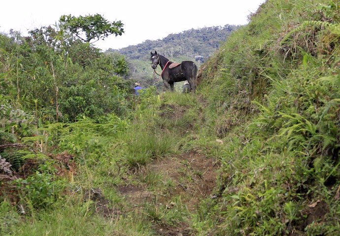 Campos en Colombia