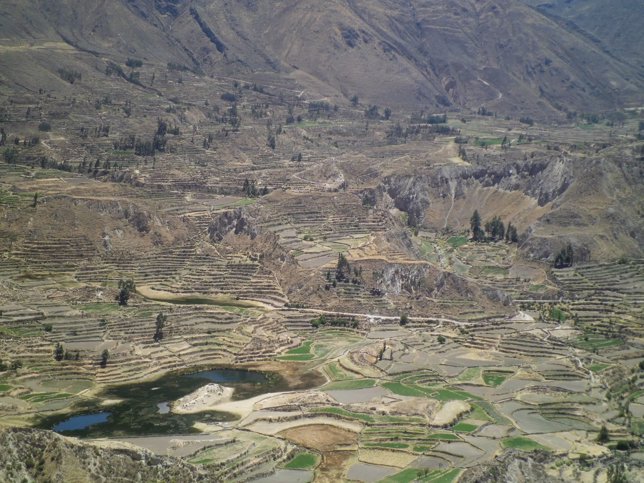 colca.jpg