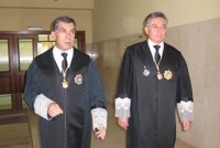 El TSJA espera que "se pueda conseguir" agilidad en juzgado de Alaya tras levantar sumario de 'Enredadera'