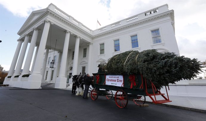 La Casa Blanca recibe el árbol de Navidad