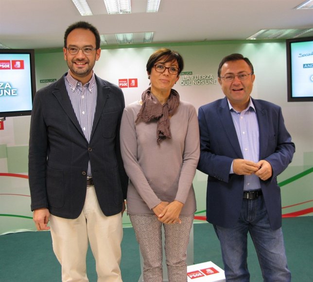 Antonio Hernando, María Gámez y Miguel Ángel Heredia PSOE