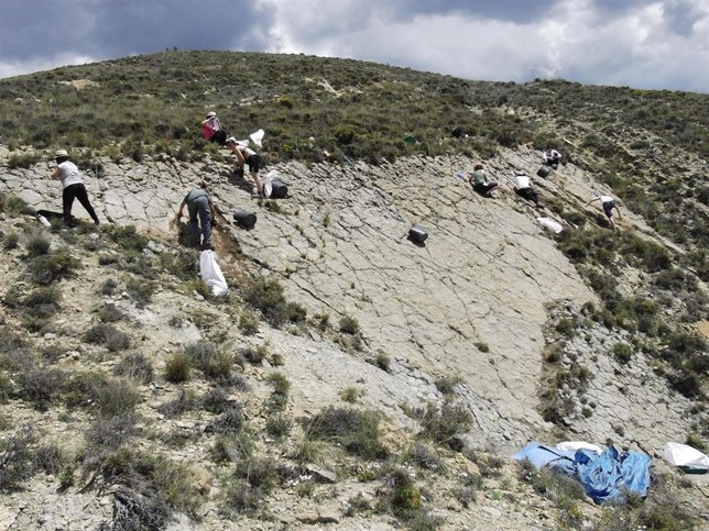 Trabajo de campo yacimiento Miravete.