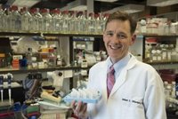 Prometedores resultados de una vacuna contra el cáncer de mama