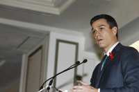 Sánchez cree que lo "sano" en la democracia española son los gobiernos con apoyos parlamentarios "diversos"