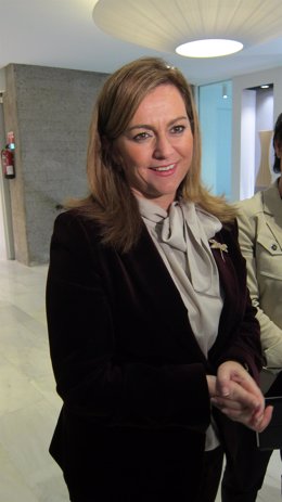 La consejera de Medio Ambiente de la Junta de Andalucía, María Jesús Serrano