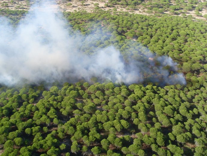 Incendio provocado en agosto en el Parque Natural de la Breña