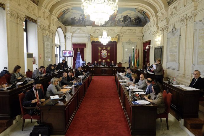 Pleno del Ayuntamiento de Málaga de noviembre 2014
