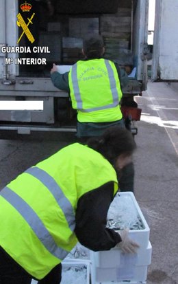 Intervención de boquerón en Sagunto (Valencia)
