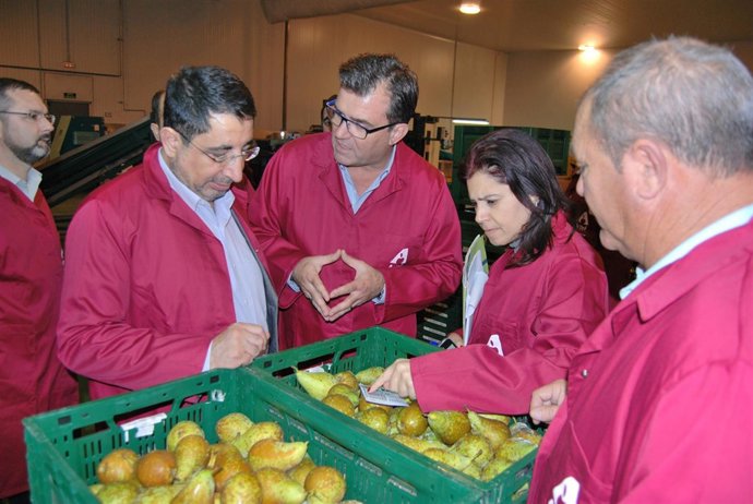 Líbano Busas Empresae Transferológica Cosa Leridan