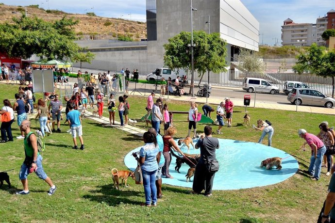 Parque canino en estepona Málaga animales juegos canes can