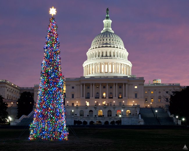Árbol de Navidad de Washington