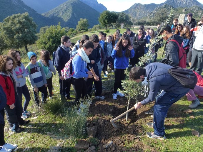 Plantación de escolares en el nuevo sendero del Parque Sierra de Grazalema