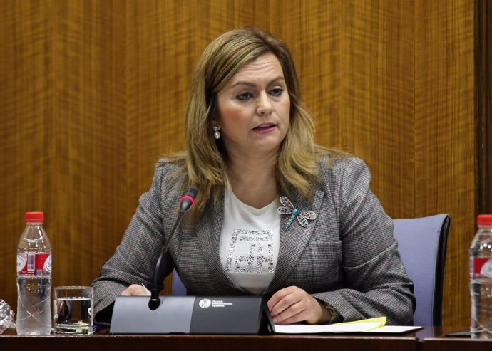 La consejera de Medio Ambiente, María Jesús Serrano, en el Parlamento