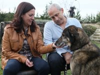 Aumentan un 40% las adopciones de mascotas y se reduce un 28% el número de ingresos por abandono