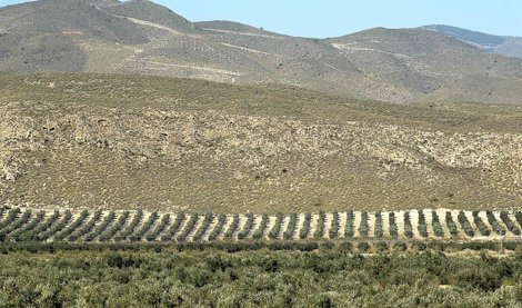 Cooperación y Desarrollo