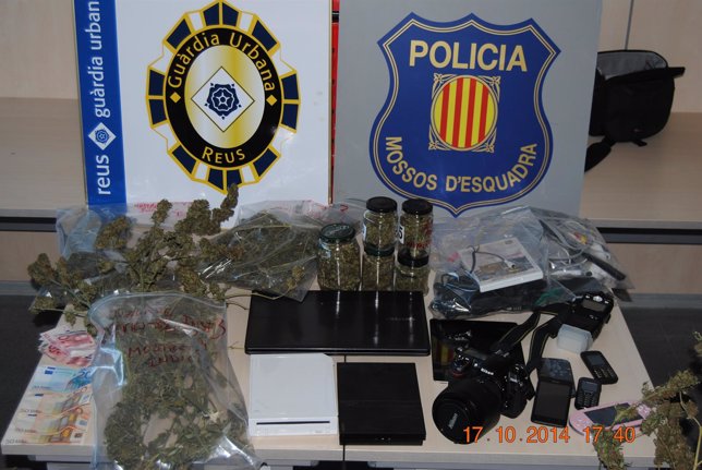 Marihuana decomisada por la policía catalana 