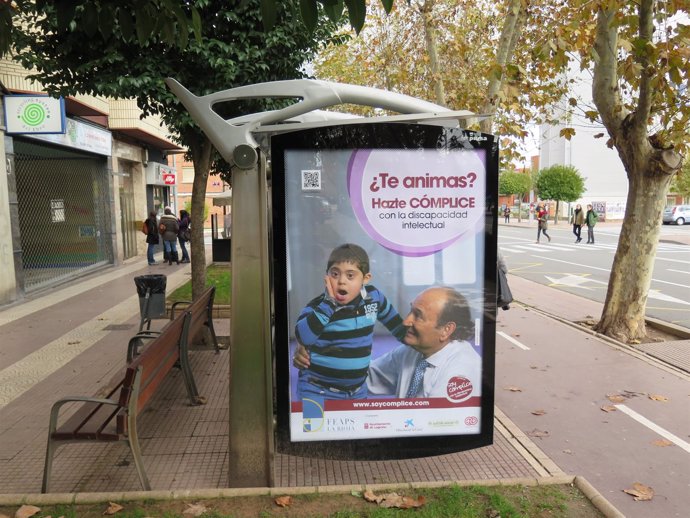 Campaña discapacidad