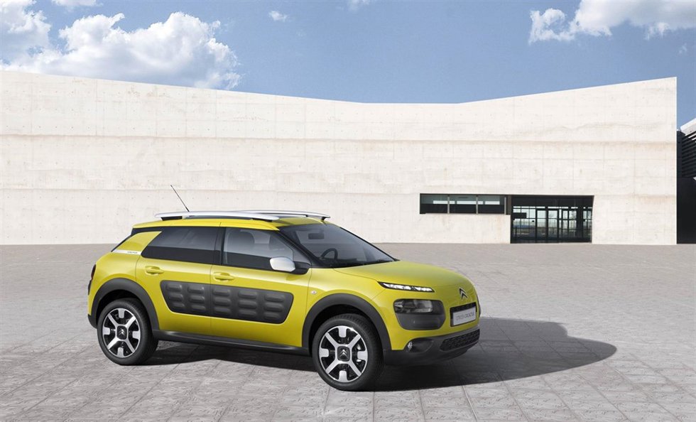 C4 Cactus