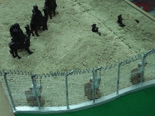 Belén Solidario Mensajeros de la Paz