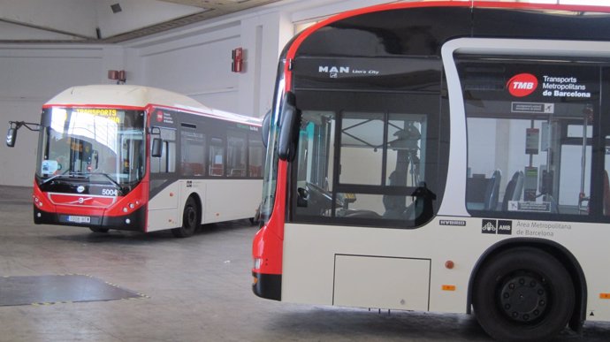 Nuevos autobuses híbridos de TMB