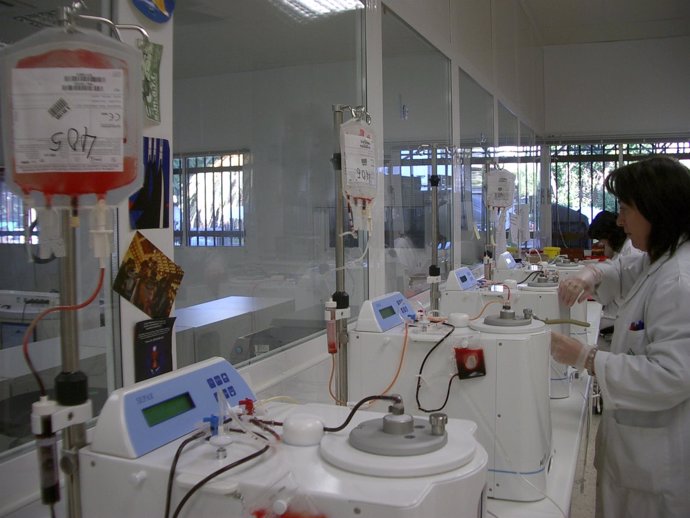 Andalucía en el primer ensayo sobre el uso de sangre de cordón umbilical