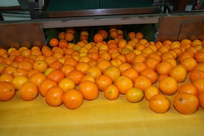 Naranjas de la Comunitat Valenciana