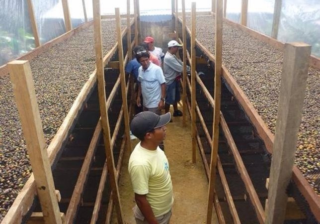 Proyecto de café turismo en Perú 