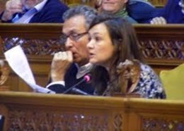 Mercedes Garrido en el Pleno del Consell de Mallorca