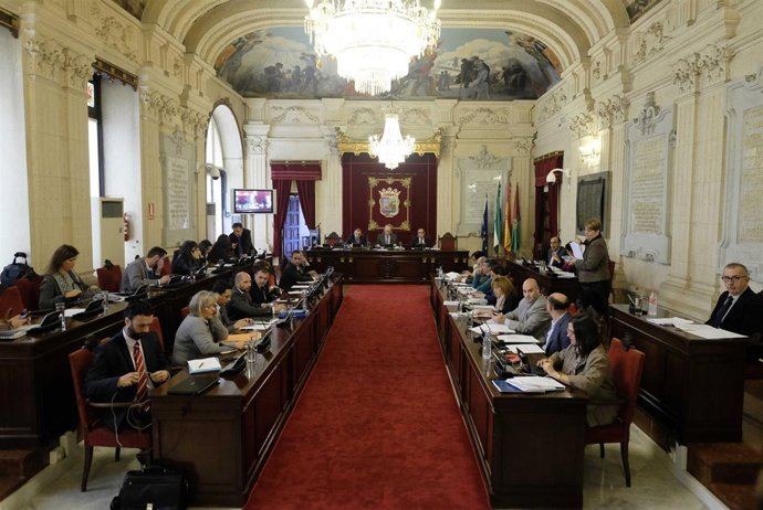 Pleno del Ayuntamiento de Málaga de noviembre 2014