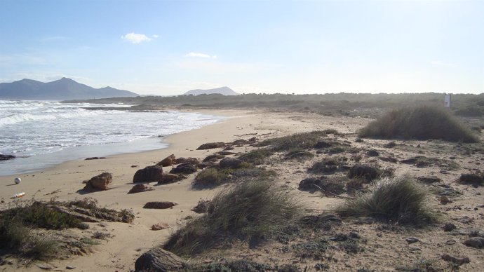 Playa de Santa Margalida (Mallorca)