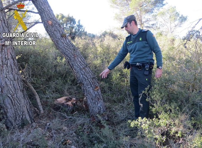 Lugar donde ocurrió el incidente