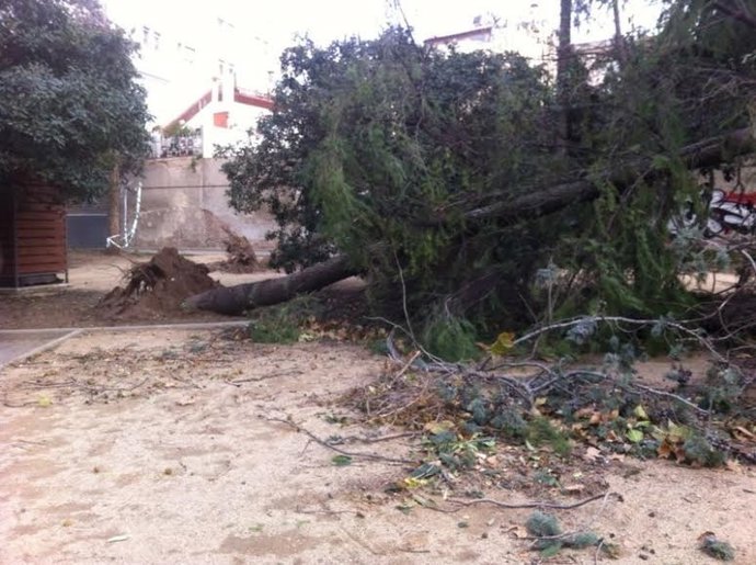 Desperfectos causados por el temporal de viento en Terrassa
