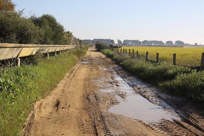 Camino de La Mejorada en Los Palacios