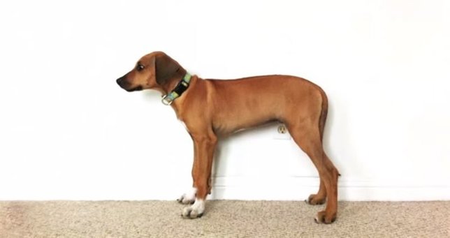 noticias más vistas