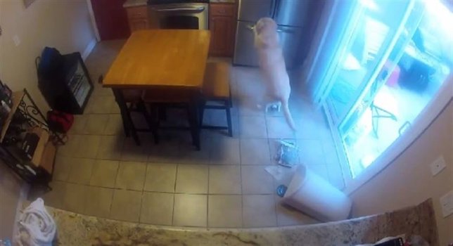 noticias más vistas