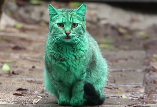 noticias más vistas